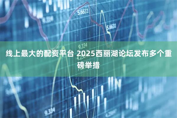 线上最大的配资平台 2025西丽湖论坛发布多个重磅举措