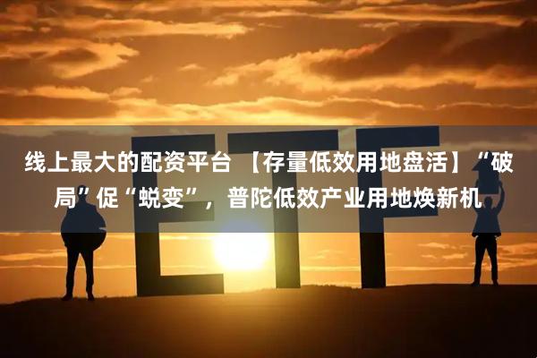 线上最大的配资平台 【存量低效用地盘活】“破局”促“蜕变”，普陀低效产业用地焕新机
